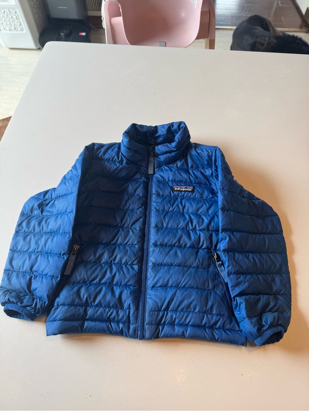 Patagonia Kids Royal Blue Puffer Jacket